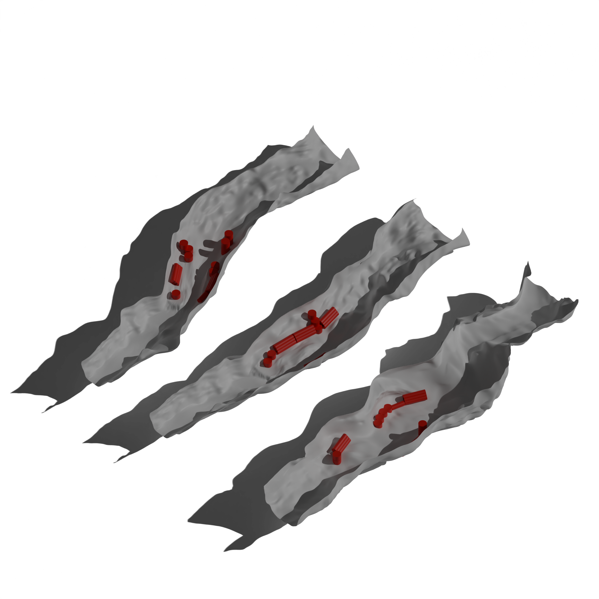 Different cave geometries with adaptable habitat layouts